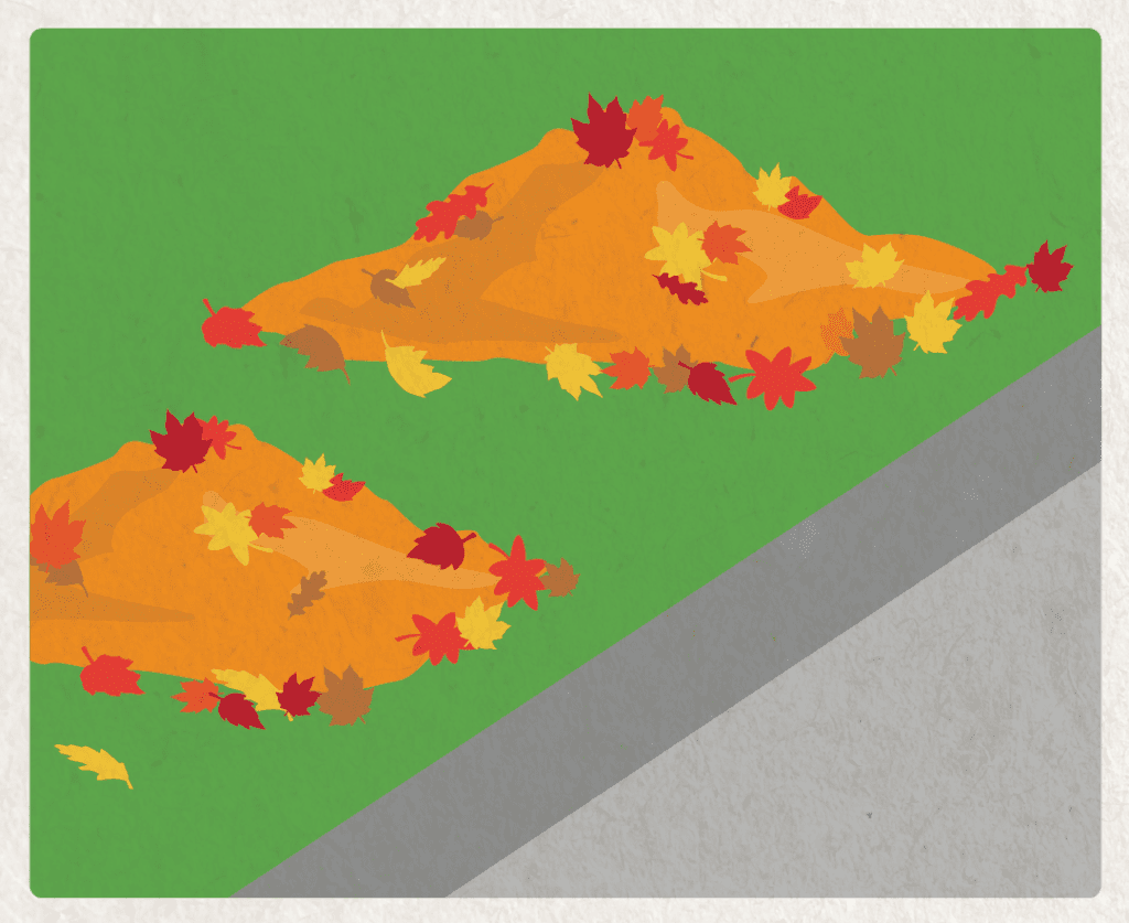 Leaves in neat piles by curb